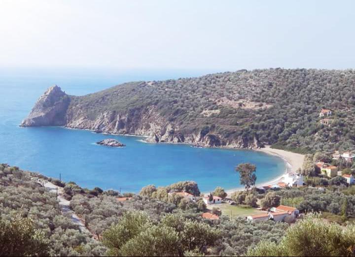 Lygiros Anastasios *